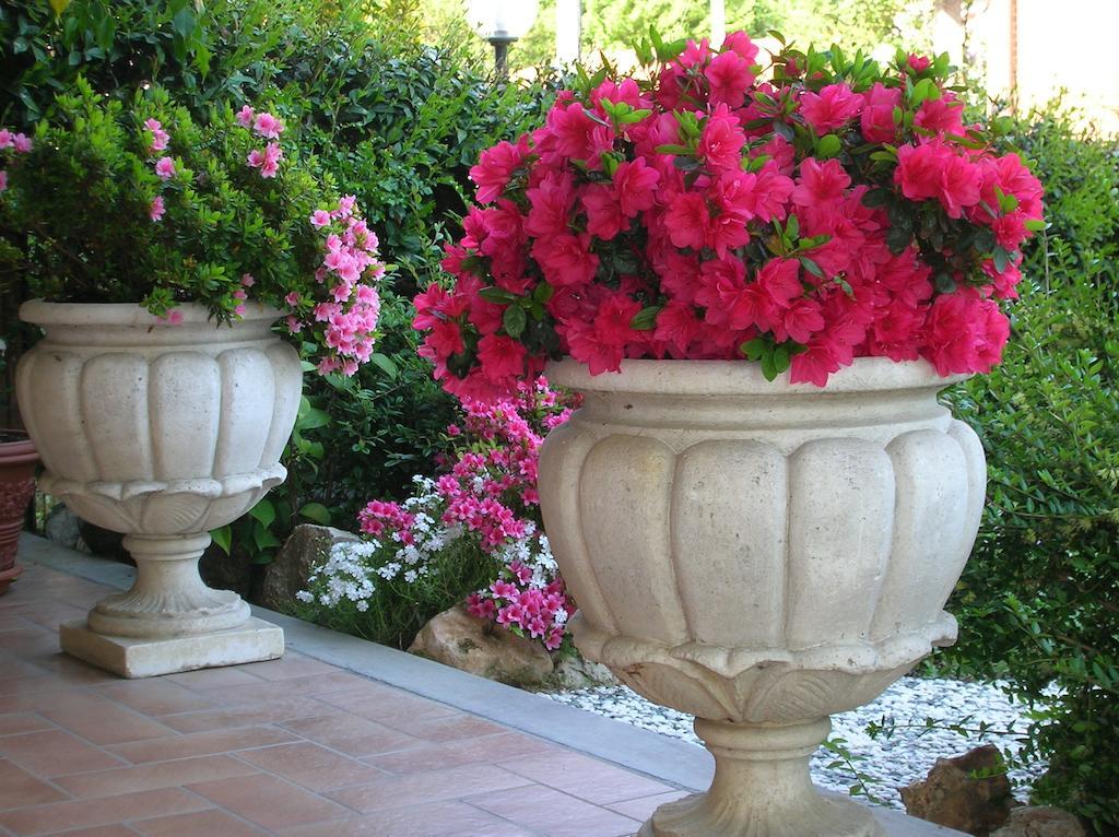 B&B Anna Moncalieri Ngoại thất bức ảnh